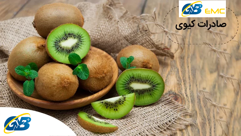 صفر تا صد مراحل صادرات کیوی + مدارک موردنیاز