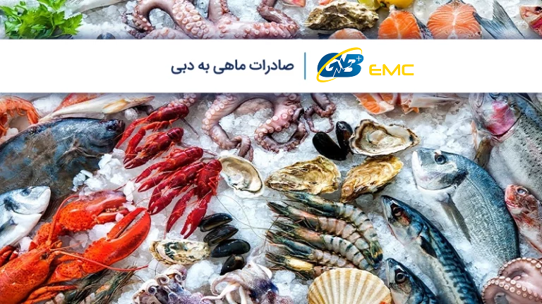 صادرات ماهی به دبی