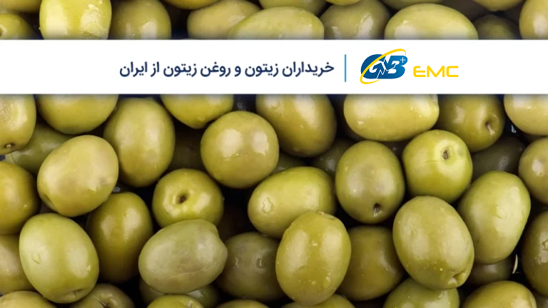 لیست خریداران زیتون و روغن زیتون از ایران