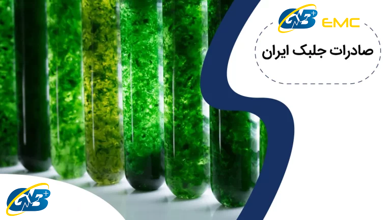آموزش صادرات جلبک