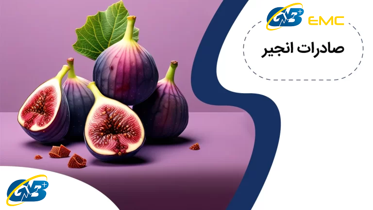 لیست کشورهای صادرات انجیر + تعرفه گمرکی