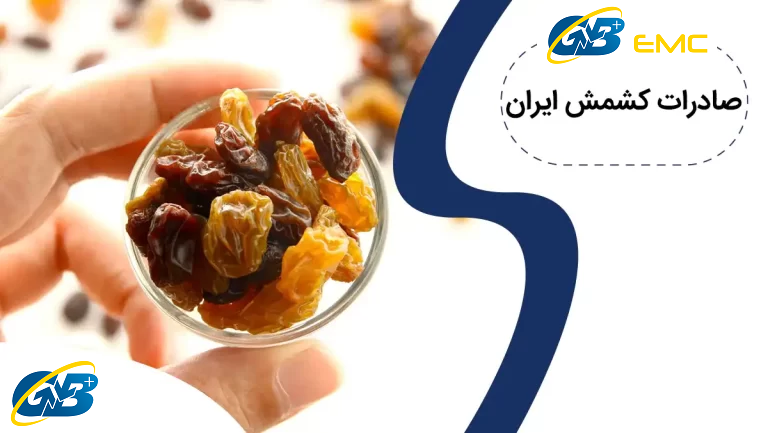 راهنمای کامل صادرات کشمش ایرانی
