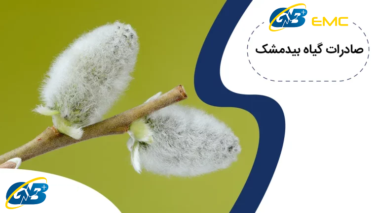 صادرات گیاه بیدمشک
