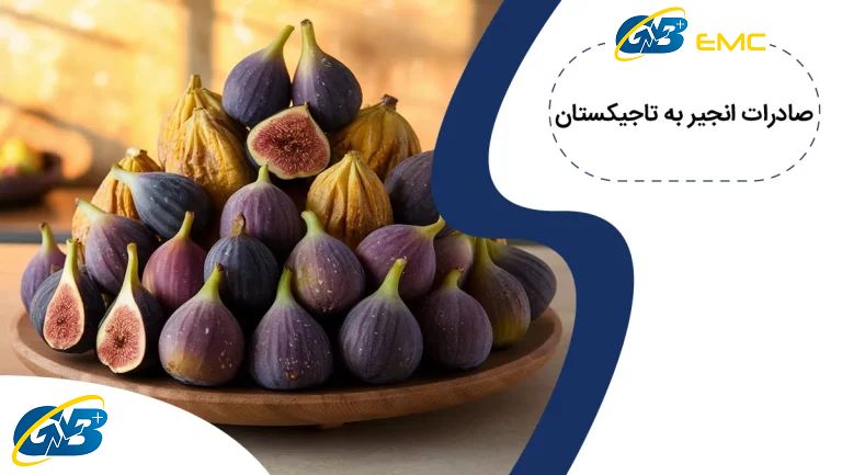 صادرات انجیر به تاجیکستان