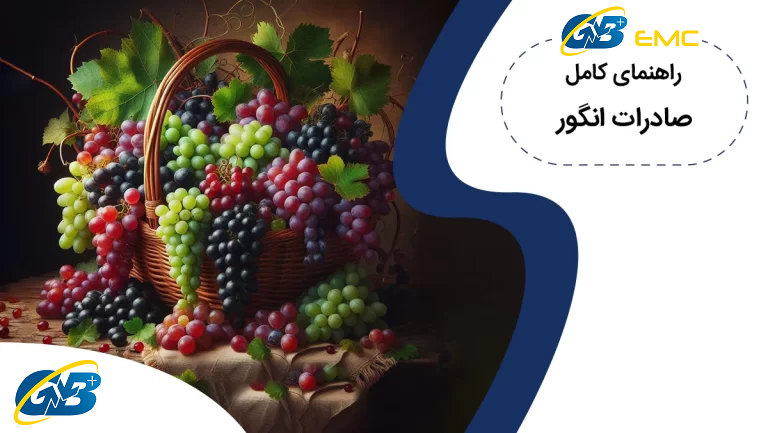راهنمای کامل صادرات انگور: مراحل، مزایا و چالش‌ها