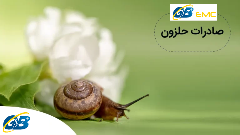 آموزش کامل صادرات حلزون
